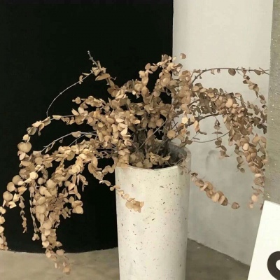 兽设花海场景设计兽圈群